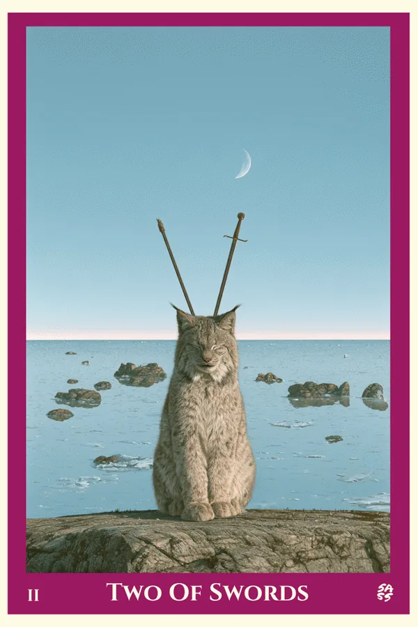 Two of Swords tarot card from the SASS Tarot deck