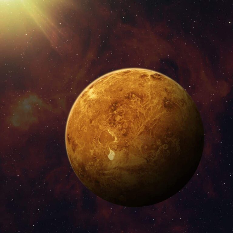 Sun Conjunct Venus Synastry Sasstrology