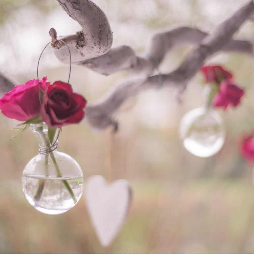 roses in water